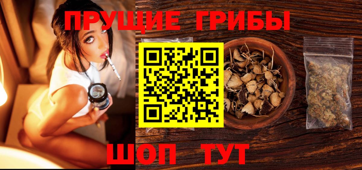 Псилоцибиновые грибы прущие грибы  Вход с VPN  Великие Луки 